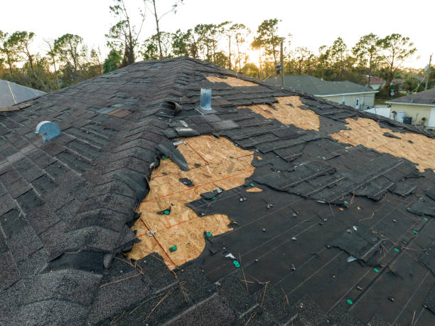 Best Roof Moss and Algae Removal  in Parlier, CA